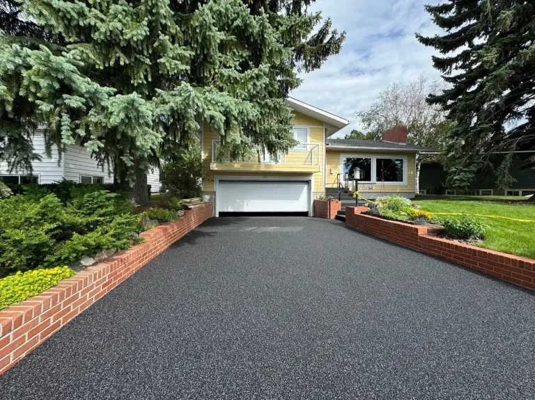 image roger after.webp